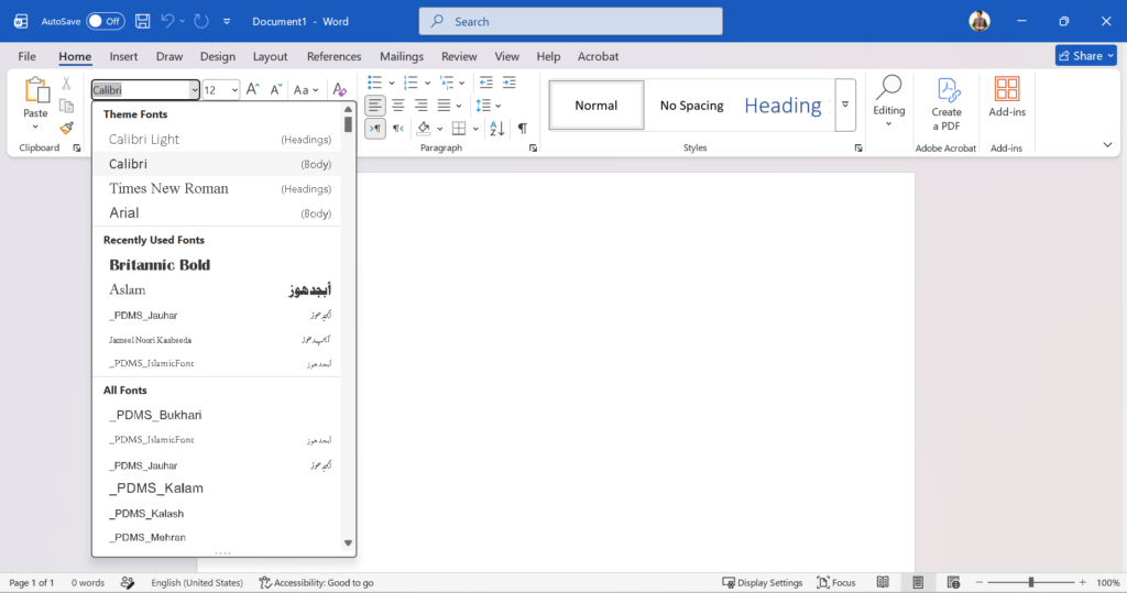 ms word